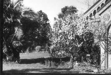 Photograph - Black and white photograph, E.M. Gibson, Pavilion and Garden View, September 1942