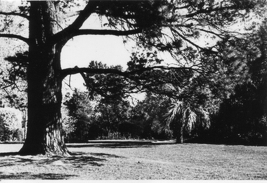 Photograph - Black and white photograph, E.M. Gibson, Garden View, September 1942