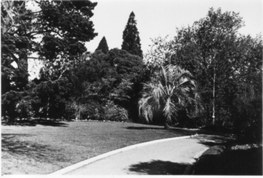 Photograph - Black and white photograph, E.M. Gibson, Garden View, September 1942