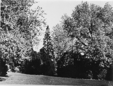 Photograph - Black and white photograph, E.M. Gibson, Garden View, September 1942