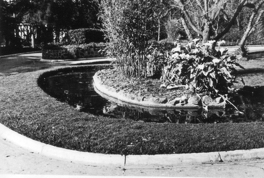 Photograph - Black and white photograph, E.M. Gibson, Luffmann/Lily Ponds, September 1942