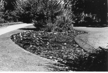 Photograph - Black and white photograph, E.M. Gibson, Early 1940's