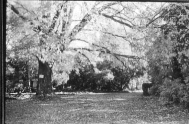 Photograph - Black and white photograph, E.M. Gibson, Garden View, Early 1940's