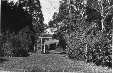 Photograph - Black and white photograph, Garden View