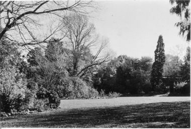 Photograph - Black and white photograph, E.M. Gibson, Croquet Lawn, Early 1940's