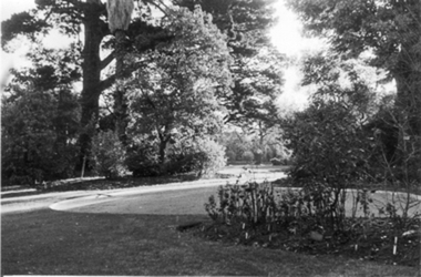Photograph - Black and white photograph, Garden View, Early 1940's