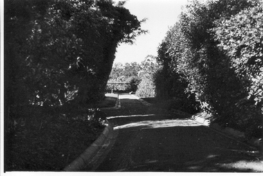 Photograph - Black and white photograph, E.M. Gibson, Garden View, Early 1940's