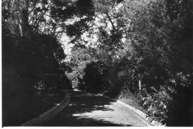 Photograph - Black and white photograph, E.M. Gibson, Garden View, Early 1940's
