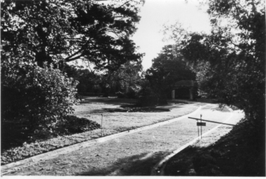 Photograph - Black and white photograph, E.M. Gibson, Path to the Principal's Residence, Early 1940's