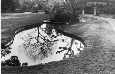 Photograph - Black and white photograph, E.M. Gibson, Luffmann/Lily Ponds, Early 1940's