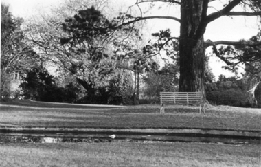 Photograph - Black and white photograph, E.M. Gibson, Oak Lawn, Early 1940's