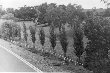 Photograph - Black and white photograph, E.M. Gibson, March 1943