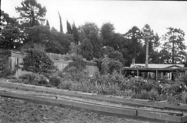 Photograph - Black and white photograph, E.M. Gibson, Old Nursery, March 1943
