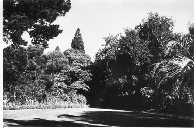 Photograph - Black and white photograph, E.M. Gibson, Garden View, March 1943