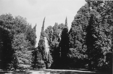 Photograph - Black and white photograph, March 1943