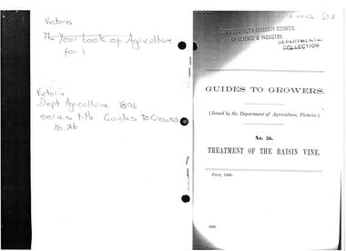 Booklet, C. Bogue Luffmann, Guides to Growers. No. 26. Treatment of the Raisin Vine, July, 1896