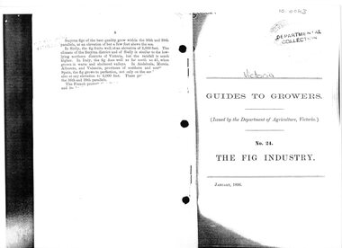 Booklet, C. Bogue Luffmann, Guides to Growers. No. 24. The Fig Industry, January, 1896