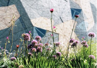 Postcard, The University of Melbourne, Test Garden, 2025