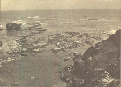 The  rocky sea floor, waves and rocks of the Crags, Yambuk