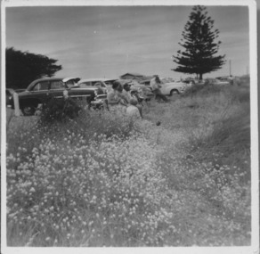 Photograph, East Beach parking 1950-1960s