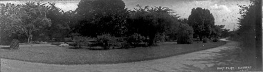 Photograph, Robert Scott, Port Fairy Gardens