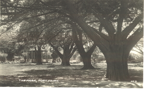 Black and white photograph of the stand of cypress trees with the rotunda in the background