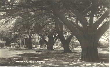 Black and white photograph of the stand of cypress trees with the rotunda in the background
