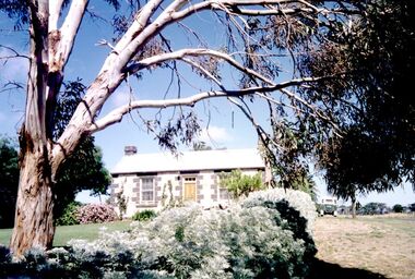 Photograph, Albert Road