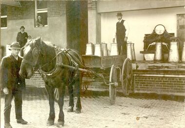 Horse and cart with milk cans being unloaded, weighed and emptied at factory