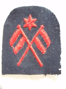 Accessory - Arm Badge