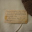 Old label written for the axe head 