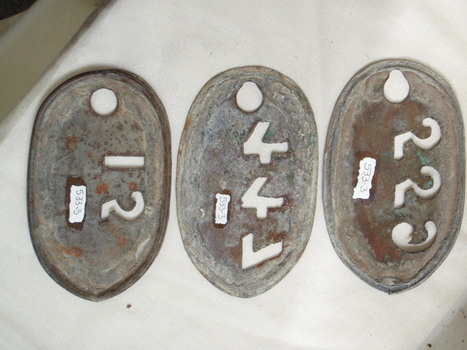 Reverse side of cow tags