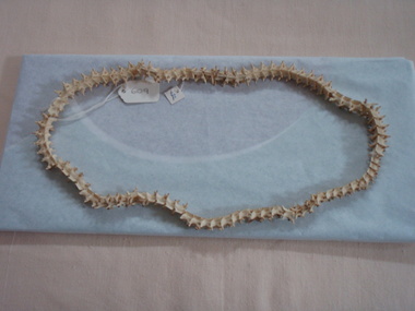Decorative object - Necklace
