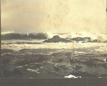 Photograph