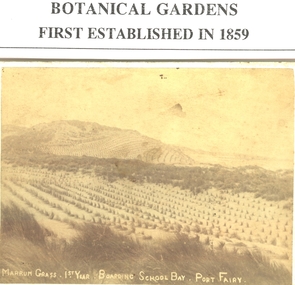 Photograph, 1884