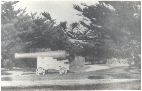 Large cannon situated in the Botanical Gardens