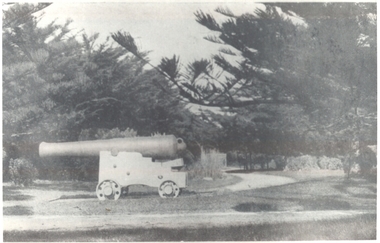 Large cannon situated in the Botanical Gardens
