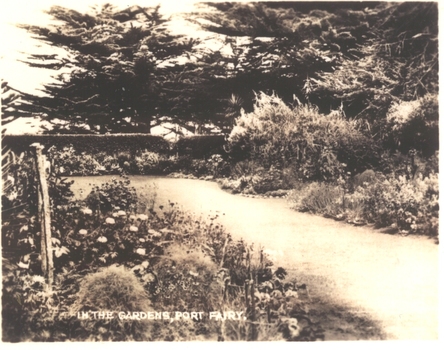 Black and white photograph of a path through the Botanical Gardens