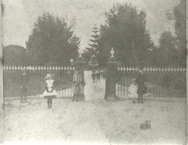 Photograph