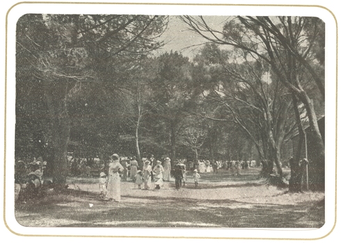 People picnicing in the Botanical Gardens