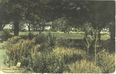 Garden bed beyond which a grassed area surround by trees