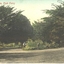 Two men working in the Botanical Gardens at the fork in the path