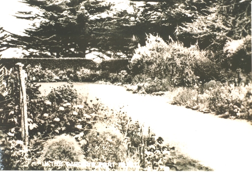 Botanical Gardens path unsure as to it’s actual position in the garden 