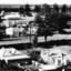 Overview of Port Fairy from St John's tower. Buildings and pine trees. Commercial Hotel far right