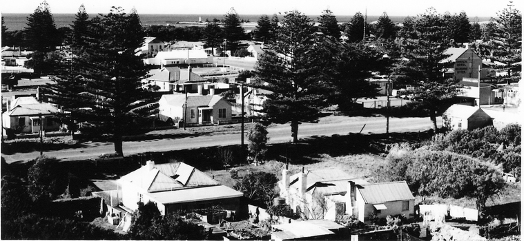 Overview of Port Fairy from St John's tower. Buildings and pine trees. Commercial Hotel far right