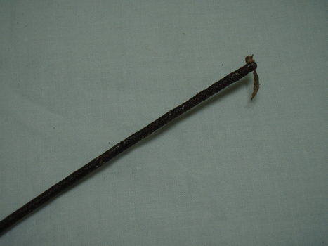 Detail of end of crop with loose tip