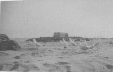 bathing boxes with seagulls in foreground