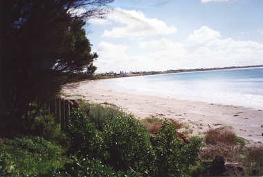 Empty beach with scrub and picket fence in foreground