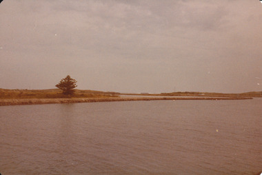 View of south west passage with Norfolk Island pine