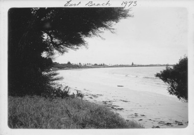 East Beach with she oaks on the left and Norfolk Island pine in distance